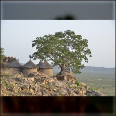 Granite mountains are natural fortresses protecting Nuba all known history against slave hunters attacking from savanna.